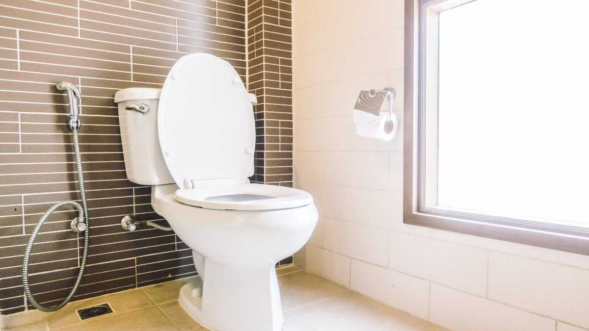 Como Escolher o Vaso Sanitário Ideal: Alinhando Design, Conforto e Paz no seu Banheiro